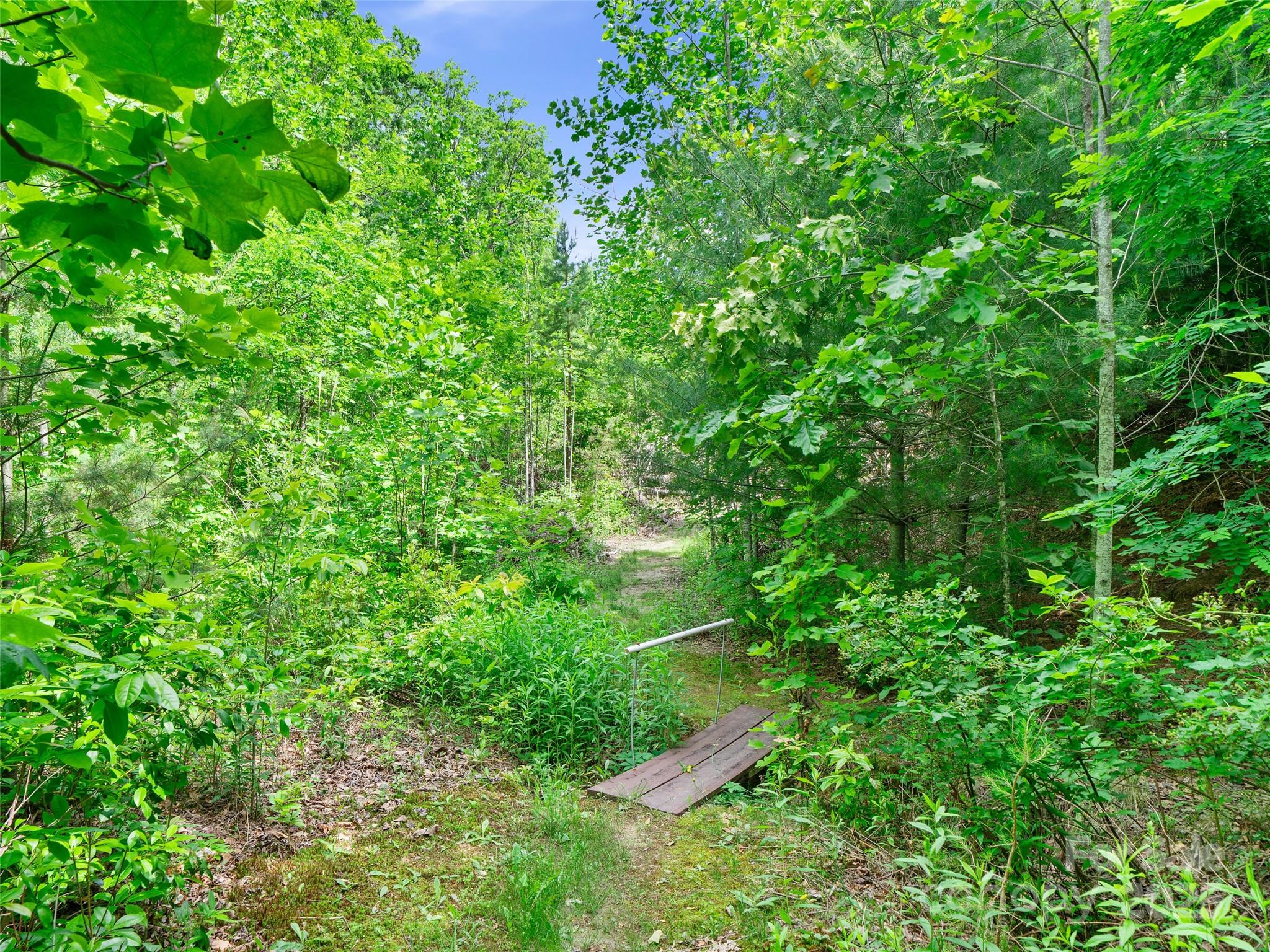99999 Millbrae Loop S Hendersonville NC 28791