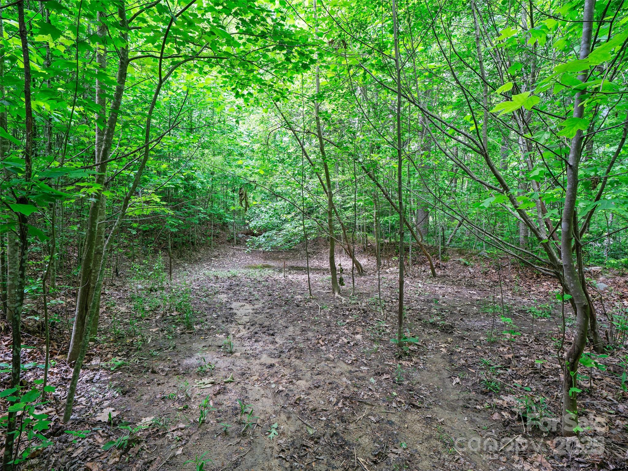 99999 Millbrae Loop S Hendersonville NC 28791