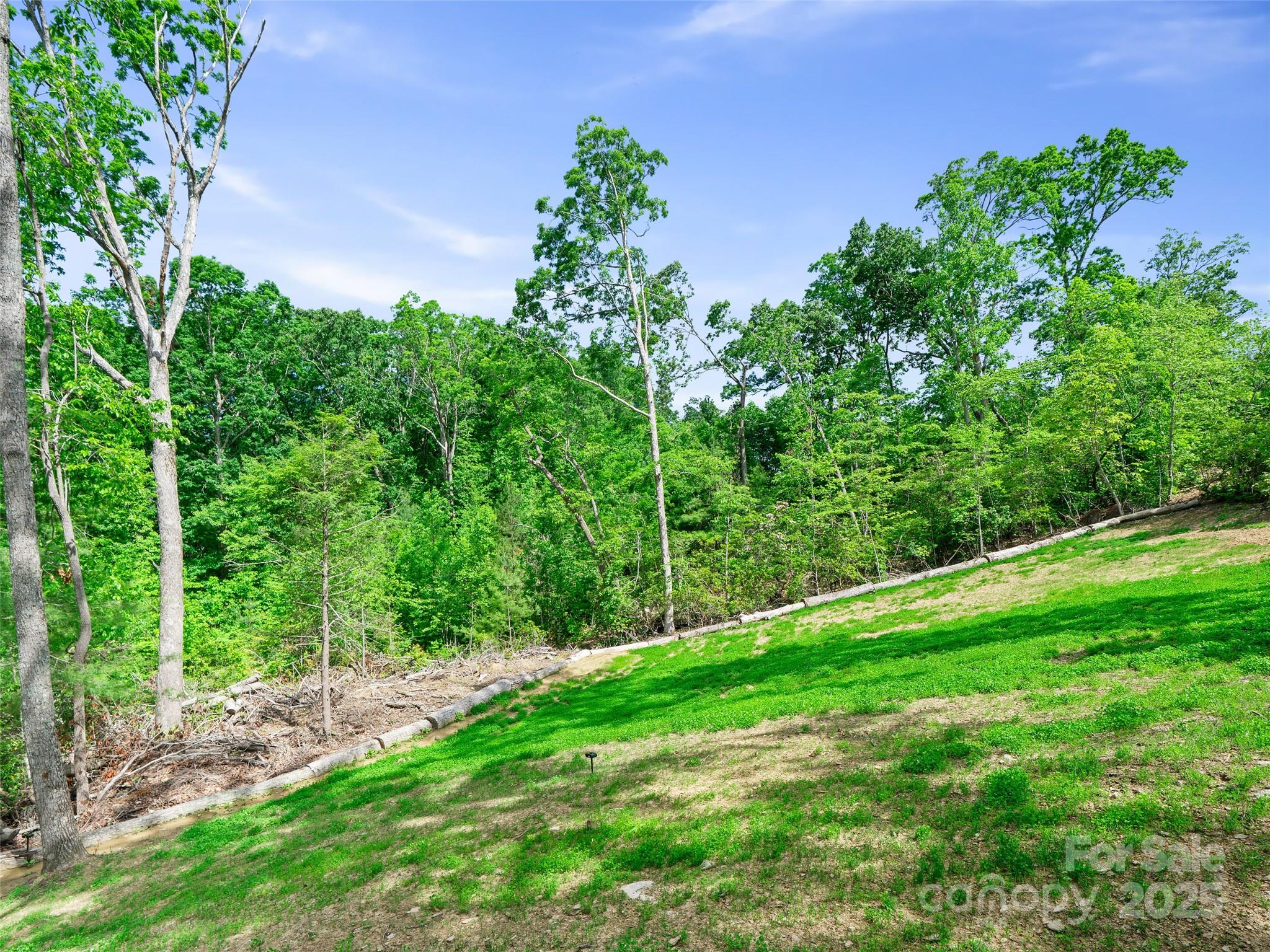 99999 Millbrae Loop S Hendersonville NC 28791