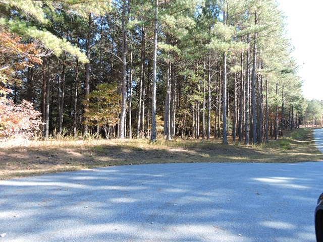 1210 Cleopatra Lane Connelly Springs NC 28612