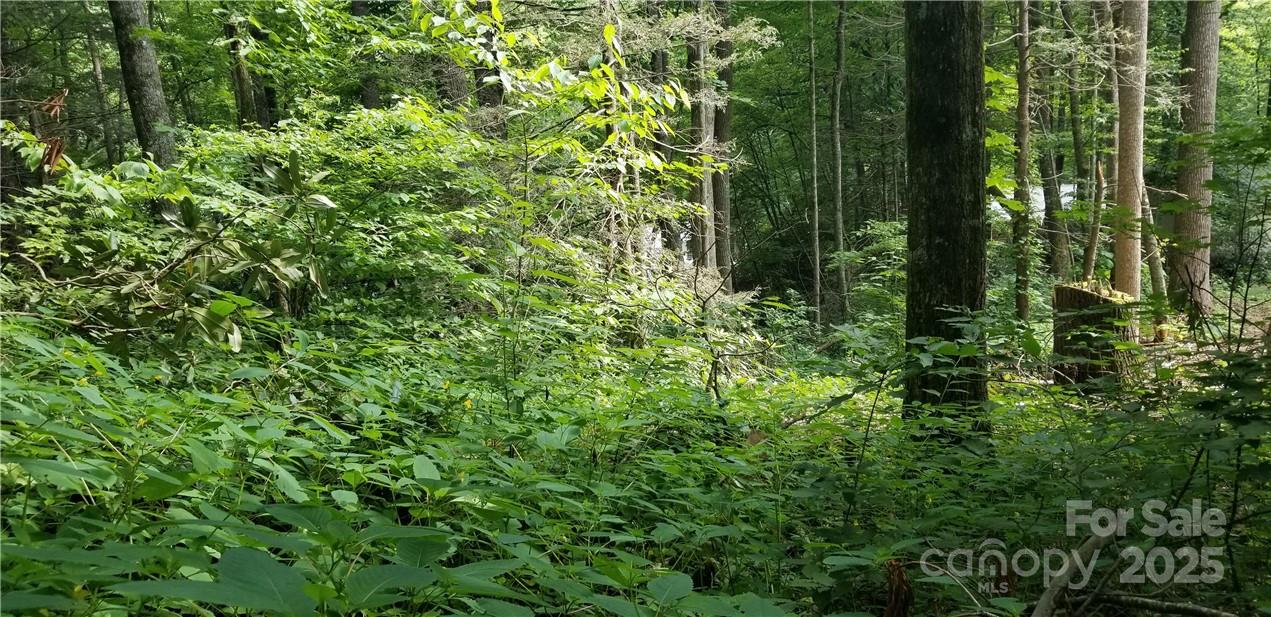 Lot C31 Shady Lane Maggie Valley NC 28751