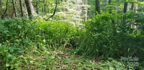 Lot C31 Shady Lane Maggie Valley NC 28751