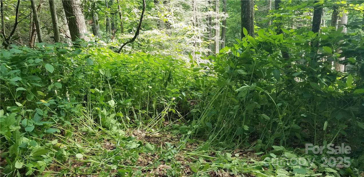Lot C31 Shady Lane Maggie Valley NC 28751