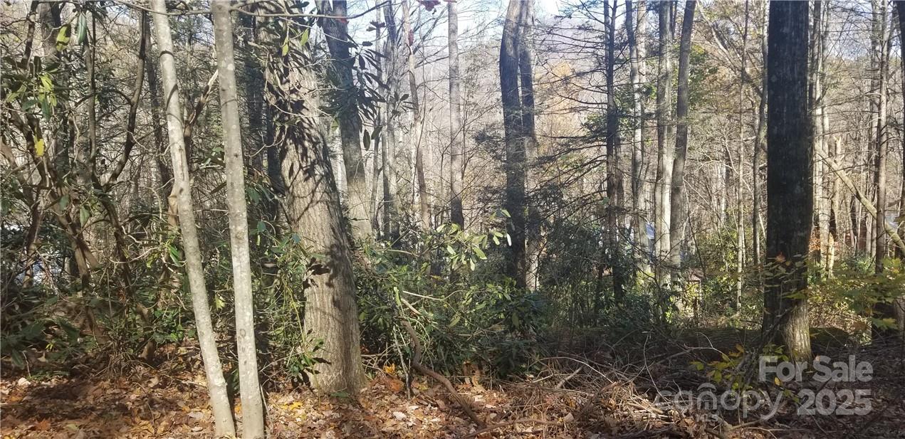 Lot C31 Shady Lane Maggie Valley NC 28751