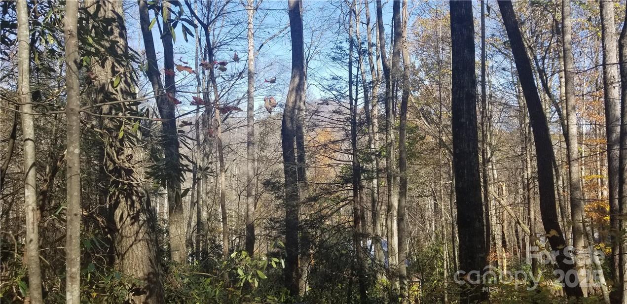 Lot C31 Shady Lane Maggie Valley NC 28751