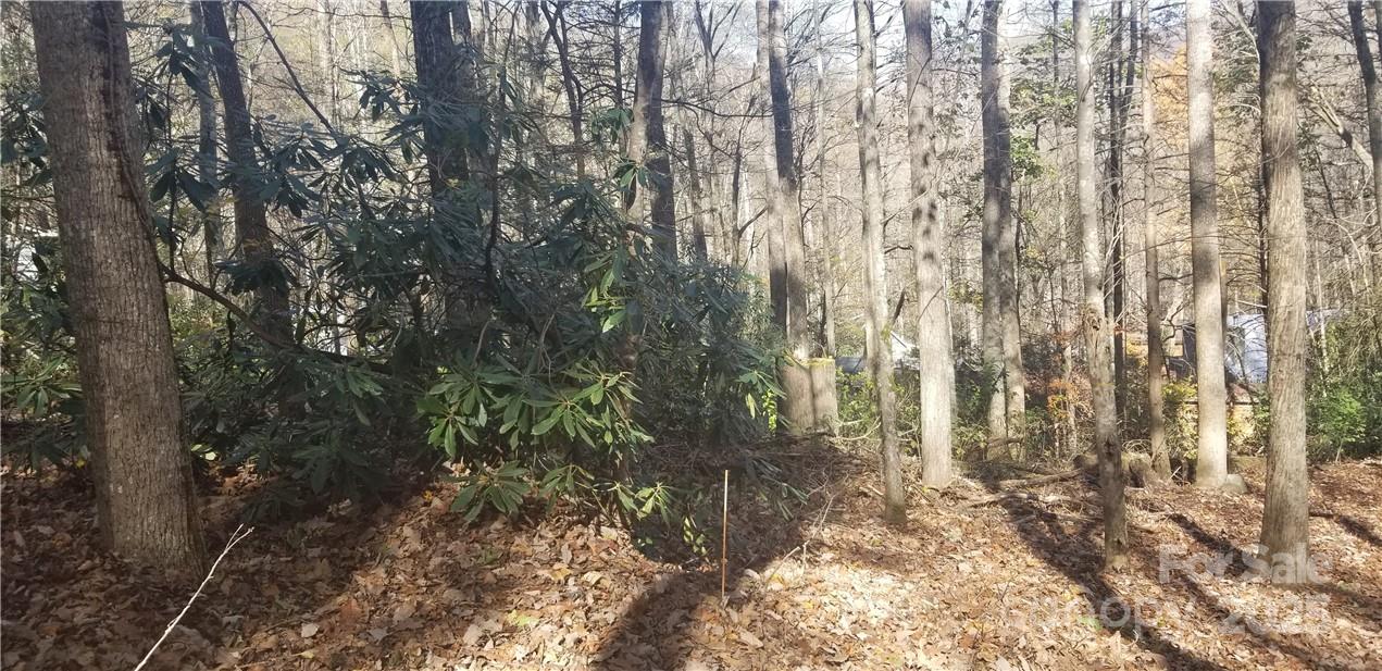 Lot C31 Shady Lane Maggie Valley NC 28751