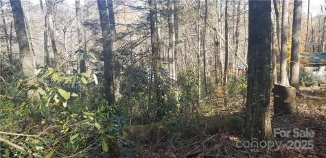 Lot C31 Shady Lane Maggie Valley NC 28751