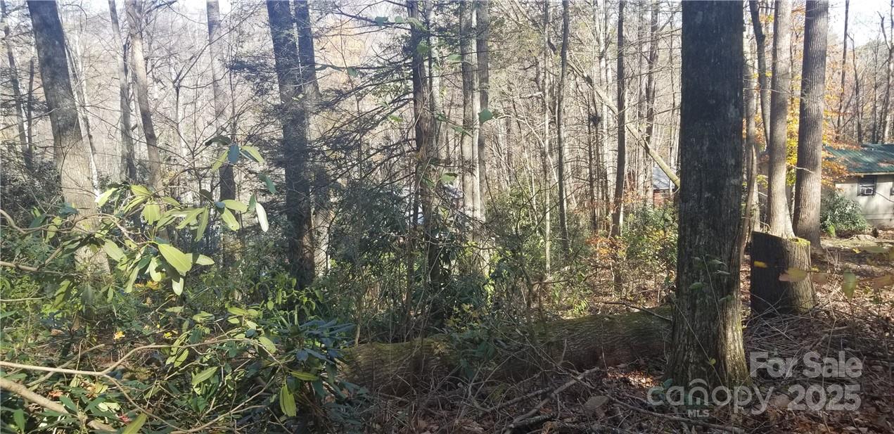 Lot C31 Shady Lane Maggie Valley NC 28751