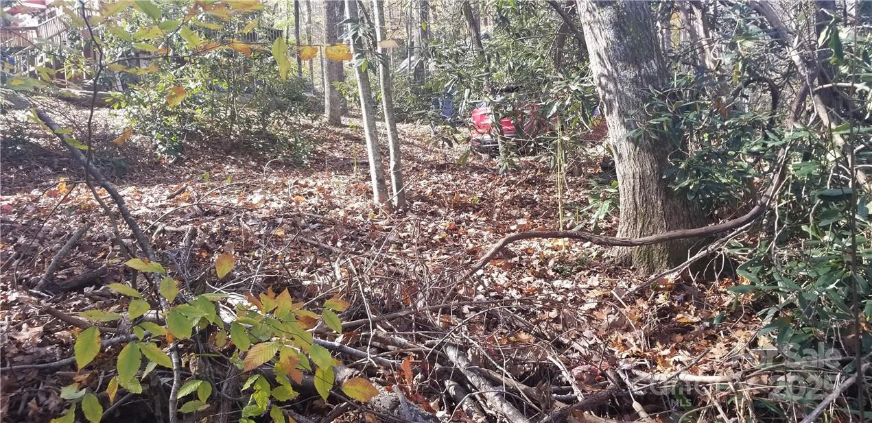 Lot C31 Shady Lane Maggie Valley NC 28751