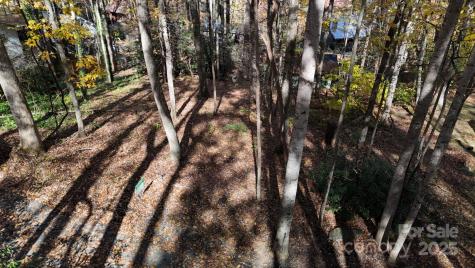 Lot C31 Shady Lane Maggie Valley NC 28751