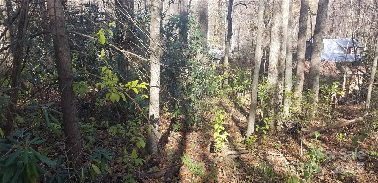 Lot C31 Shady Lane Maggie Valley NC 28751