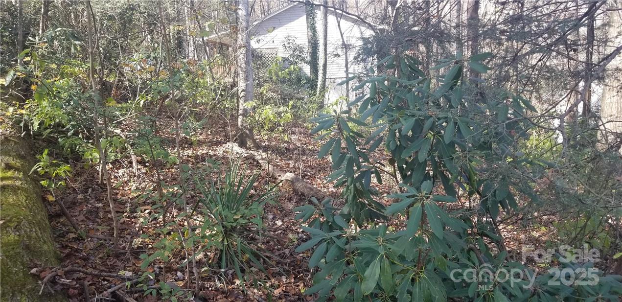 Lot C31 Shady Lane Maggie Valley NC 28751