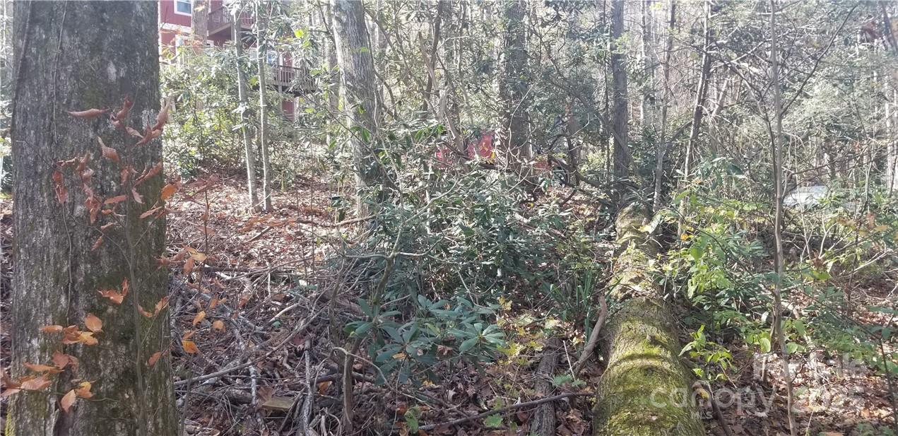 Lot C31 Shady Lane Maggie Valley NC 28751