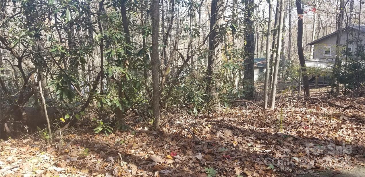 Lot C31 Shady Lane Maggie Valley NC 28751