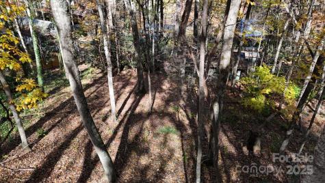 Lot C31 Shady Lane Maggie Valley NC 28751
