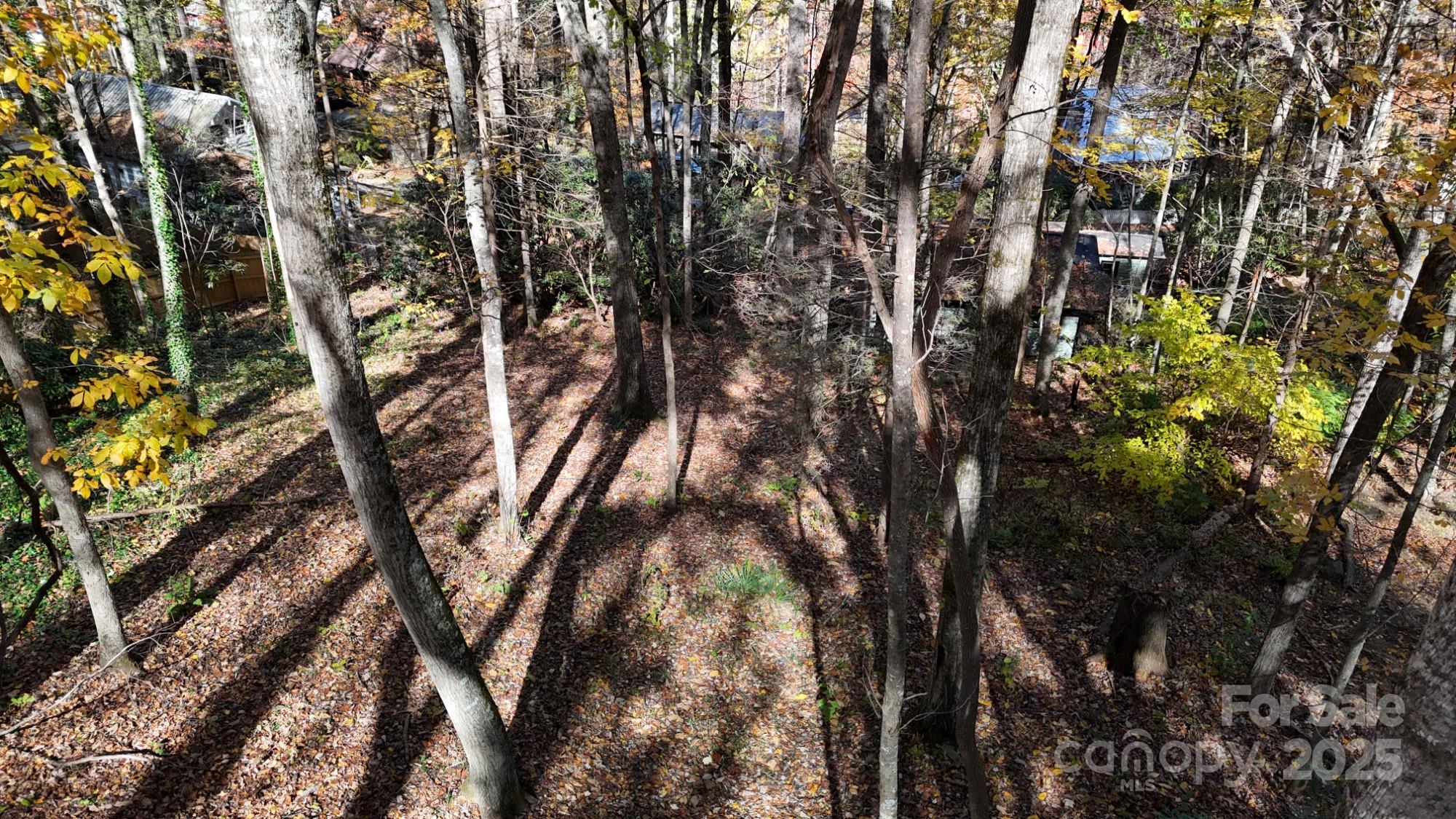 Lot C31 Shady Lane Maggie Valley NC 28751
