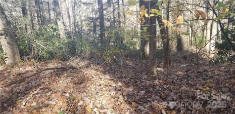 Lot C31 Shady Lane Maggie Valley NC 28751