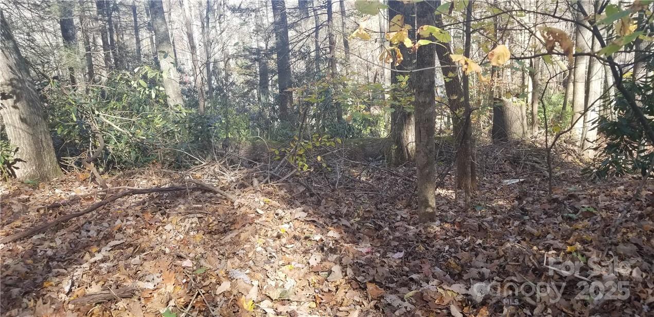 Lot C31 Shady Lane Maggie Valley NC 28751