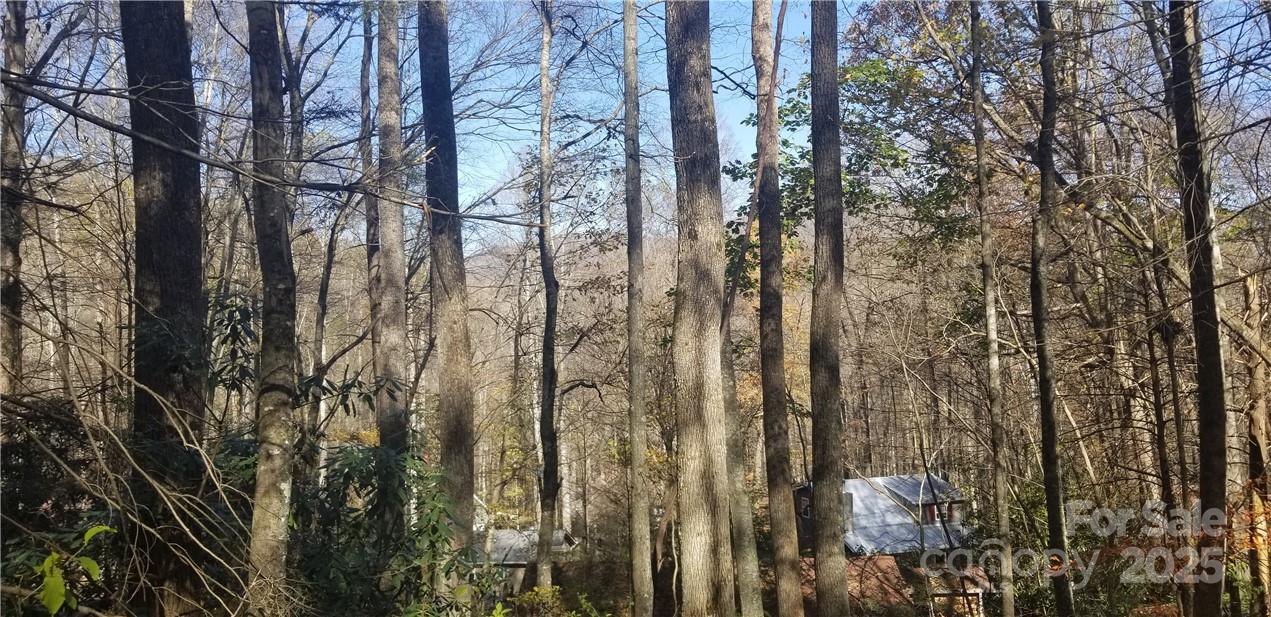Lot C31 Shady Lane Maggie Valley NC 28751