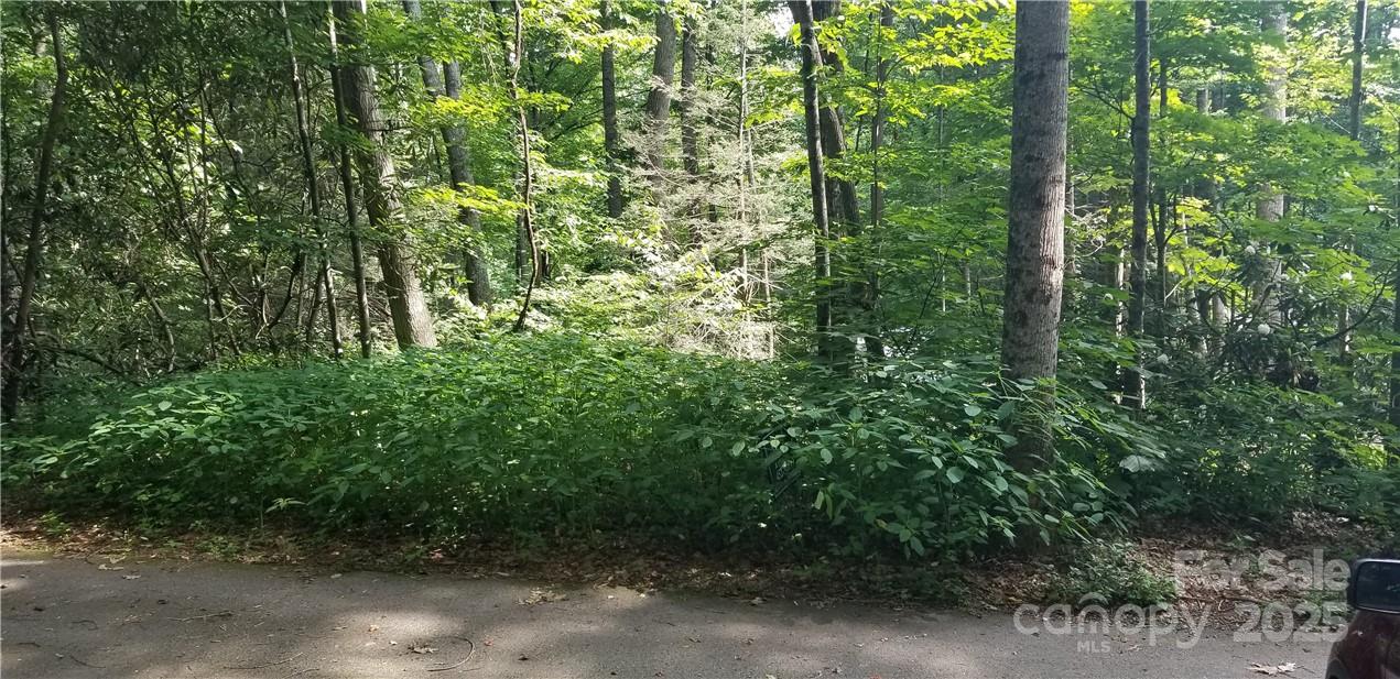 Lot C31 Shady Lane Maggie Valley NC 28751