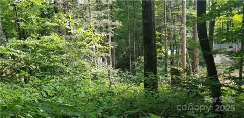 Lot C31 Shady Lane Maggie Valley NC 28751