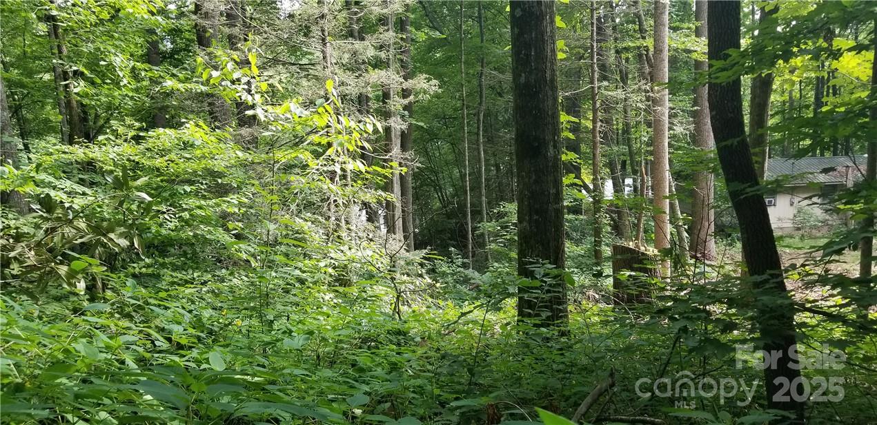 Lot C31 Shady Lane Maggie Valley NC 28751