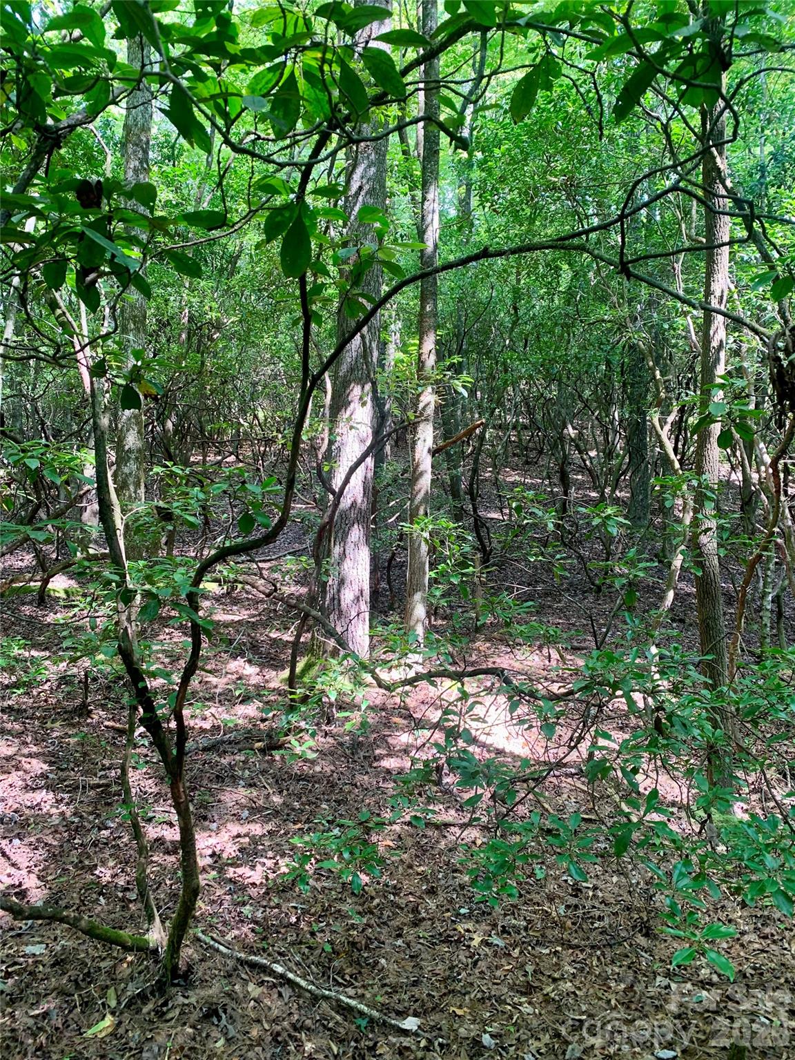 6 Double Creek Road Brevard NC 28712