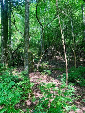 6 Double Creek Road Brevard NC 28712