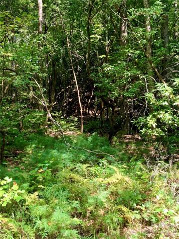 6 Double Creek Road Brevard NC 28712