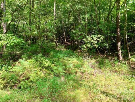 6 Double Creek Road Brevard NC 28712