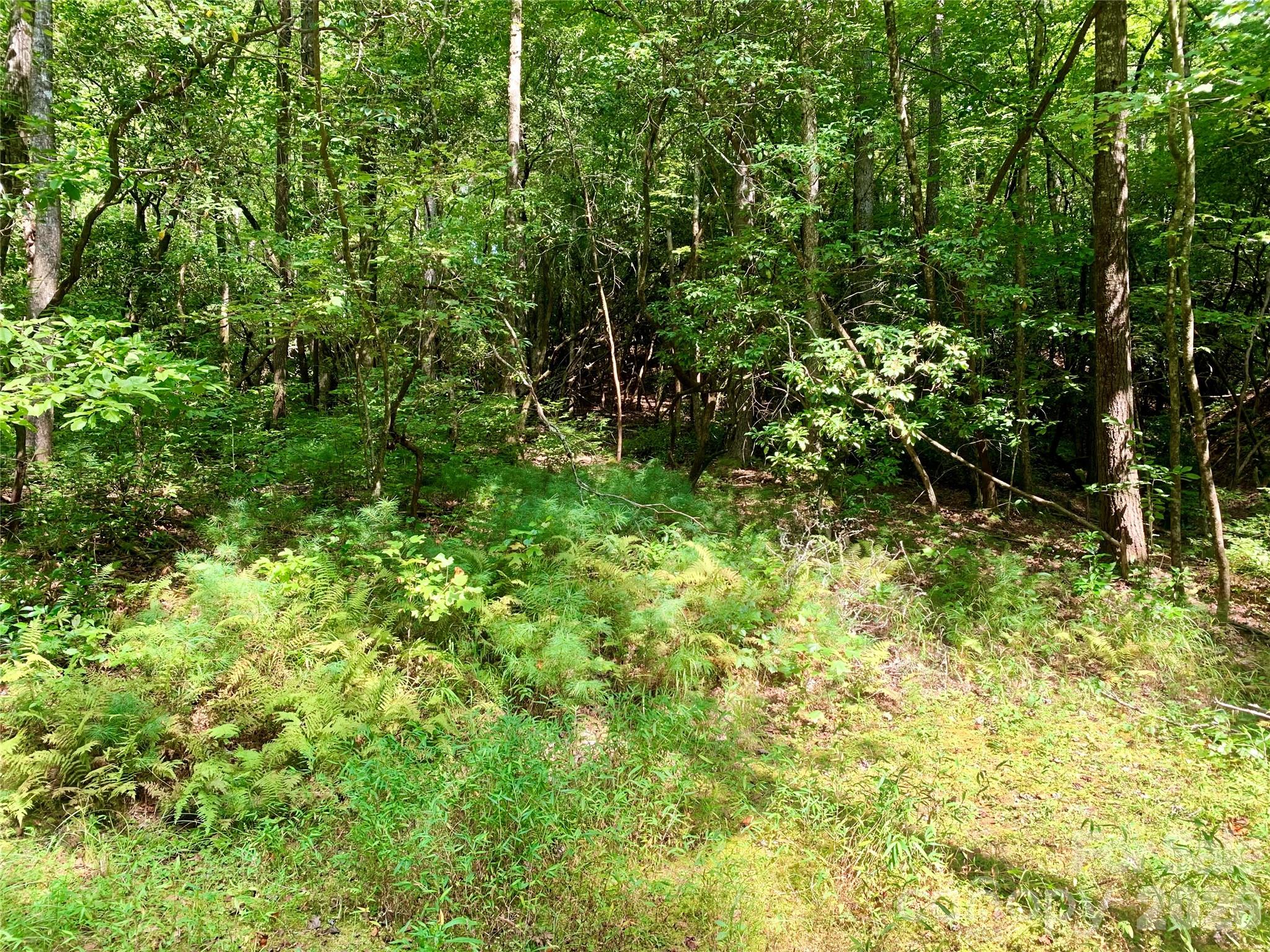 6 Double Creek Road Brevard NC 28712