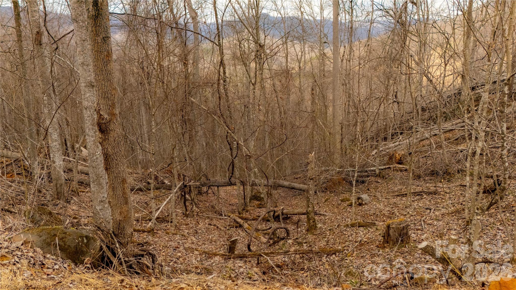 000 Elliotts Loop Bakersville NC 28705