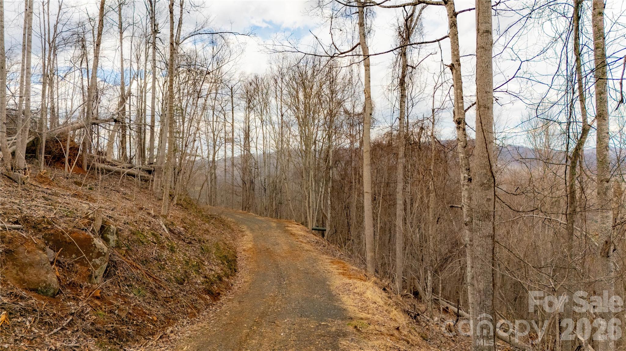 000 Elliotts Loop Bakersville NC 28705