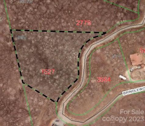 Tbd Brindlewood Drive Nebo NC 28761