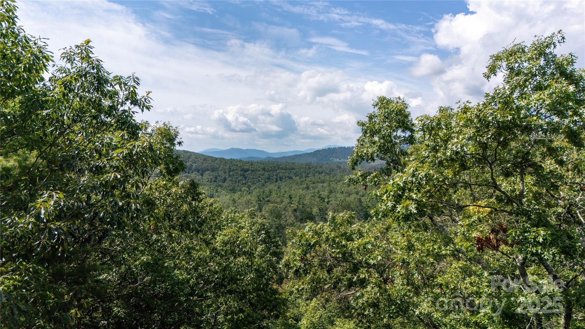 0000 Humpback Mountain Road Spruce Pine NC 28777