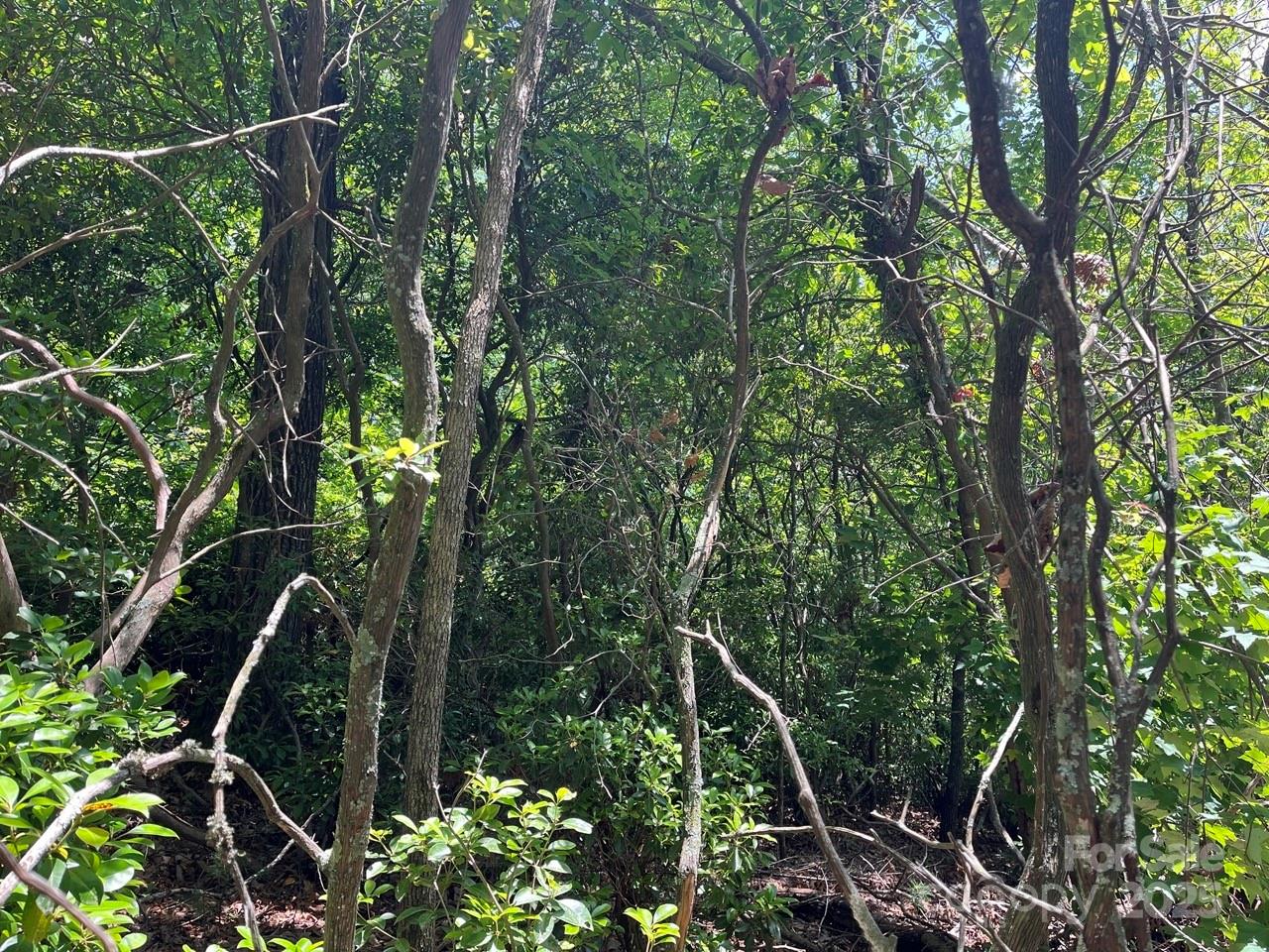 0000 Humpback Mountain Road Spruce Pine NC 28777