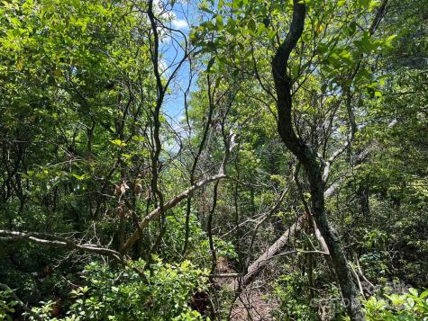 0000 Humpback Mountain Road Spruce Pine NC 28777