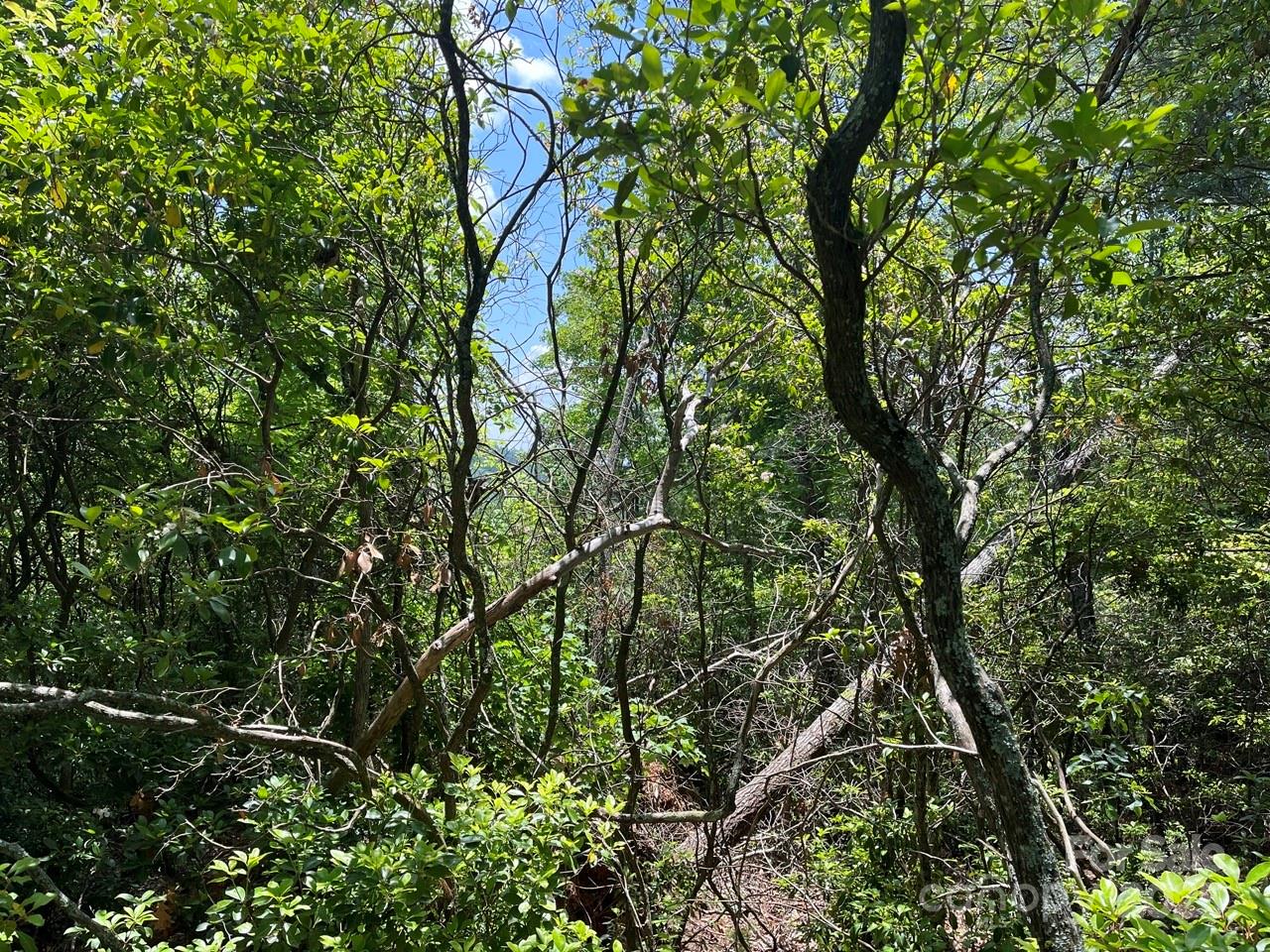 0000 Humpback Mountain Road Spruce Pine NC 28777