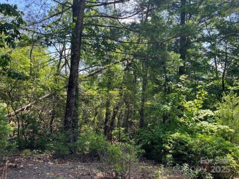 0000 Humpback Mountain Road Spruce Pine NC 28777