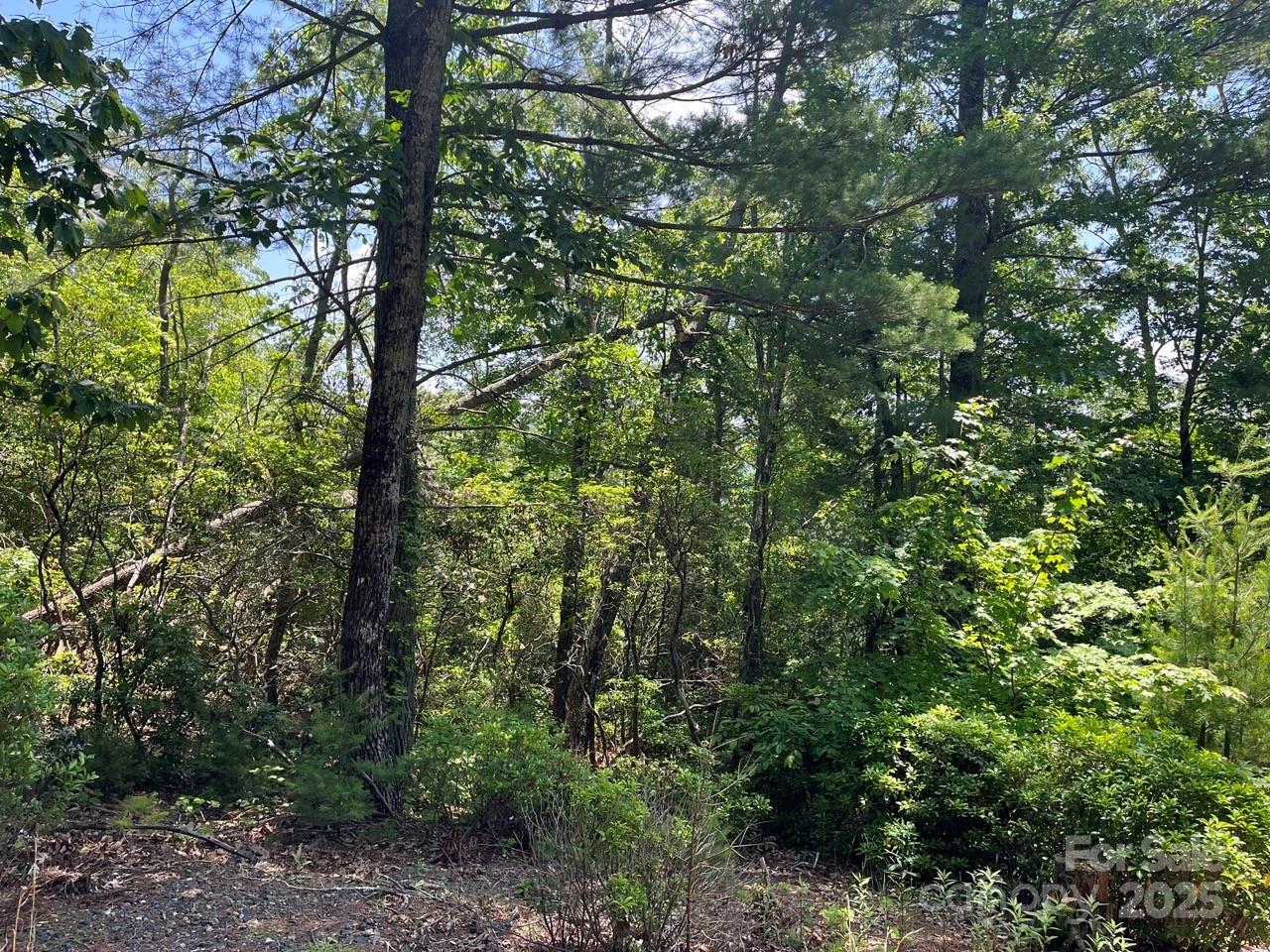 0000 Humpback Mountain Road Spruce Pine NC 28777