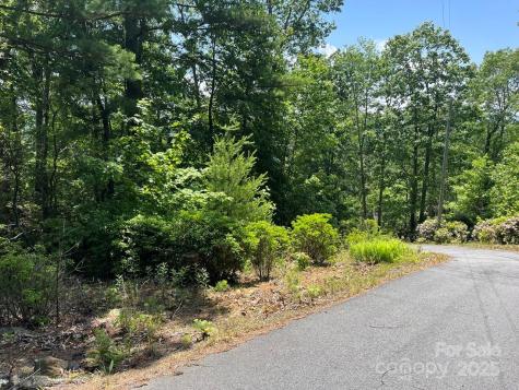 0000 Humpback Mountain Road Spruce Pine NC 28777