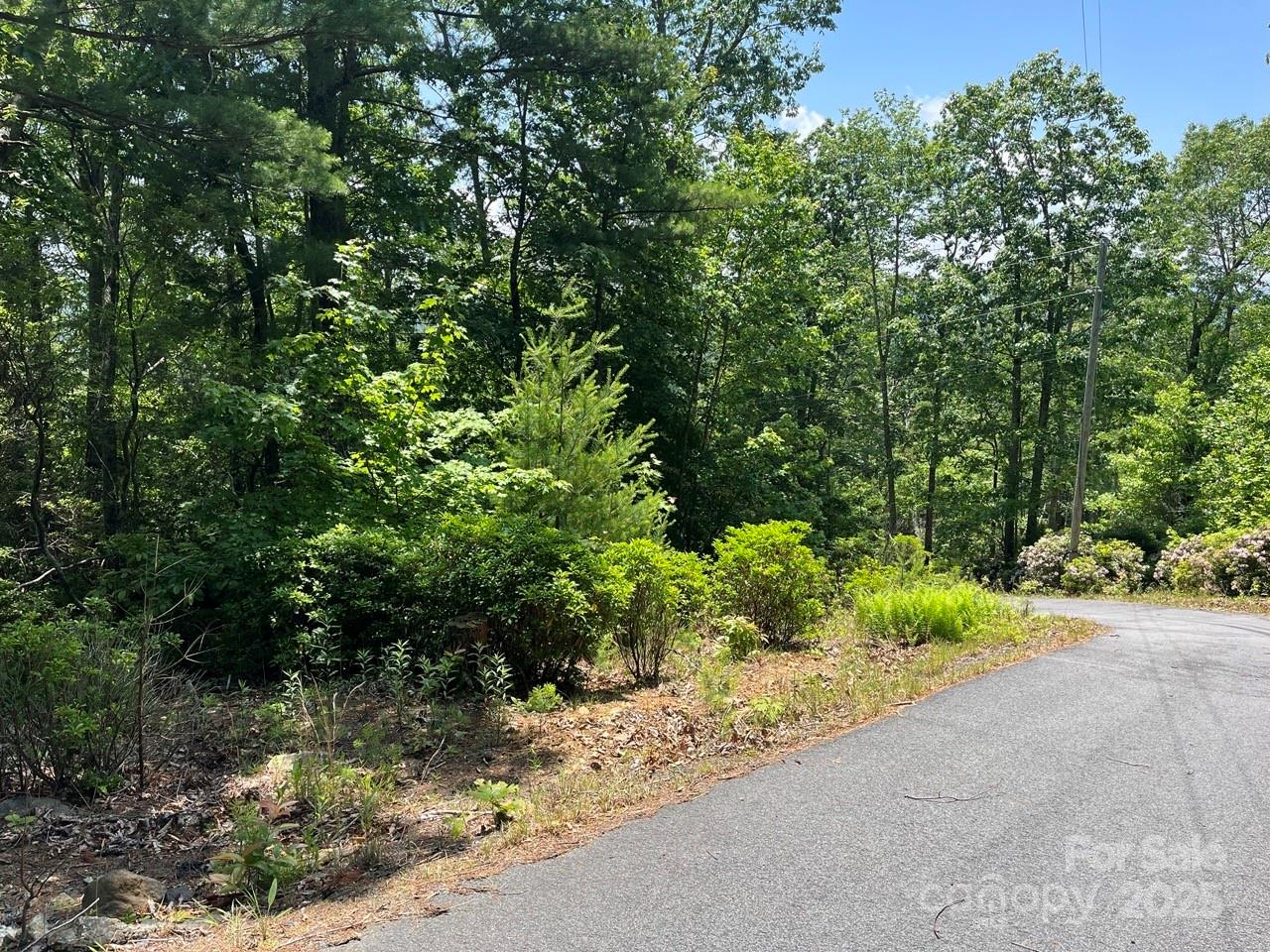 0000 Humpback Mountain Road Spruce Pine NC 28777