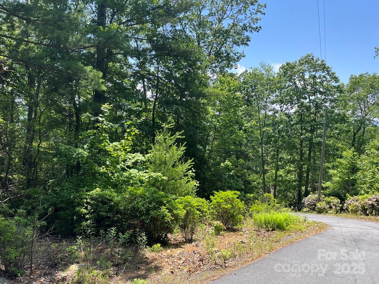 0000 Humpback Mountain Road Spruce Pine NC 28777