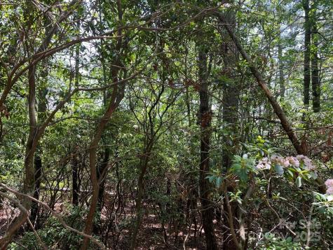 0000 Humpback Mountain Road Spruce Pine NC 28777