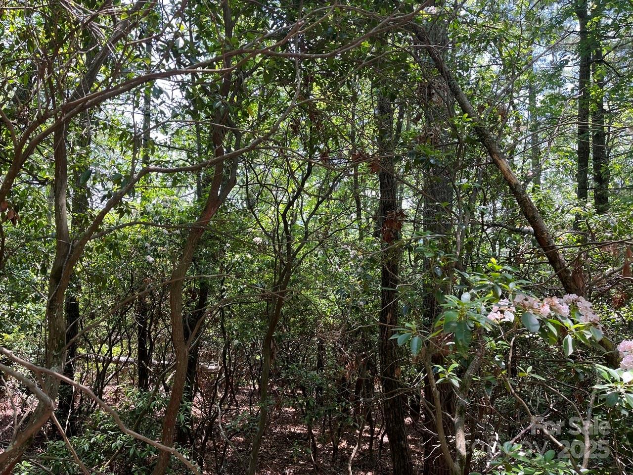 0000 Humpback Mountain Road Spruce Pine NC 28777