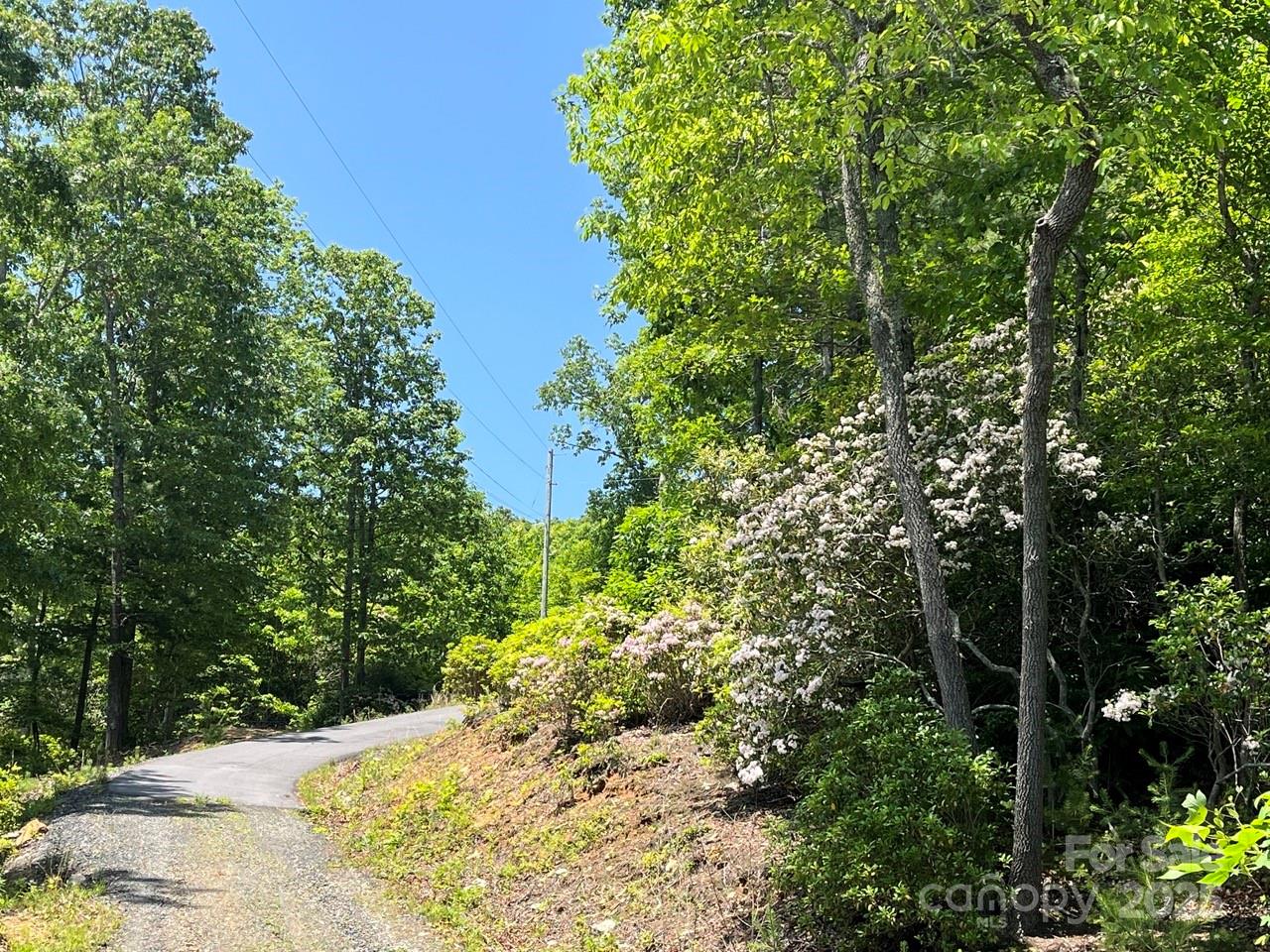0000 Humpback Mountain Road Spruce Pine NC 28777