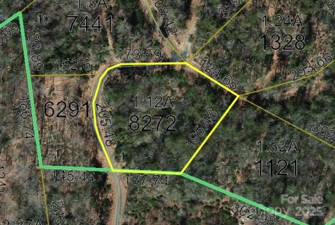 0000 Humpback Mountain Road Spruce Pine NC 28777