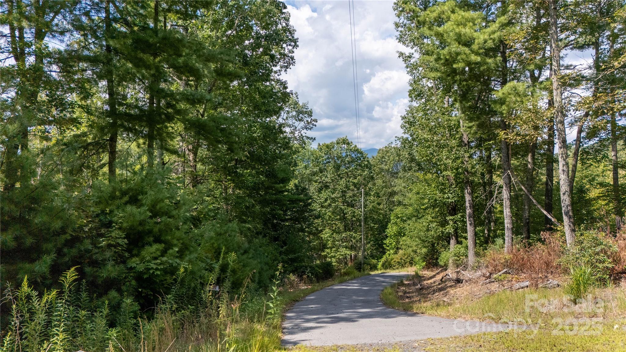 0000 Humpback Mountain Road Spruce Pine NC 28777
