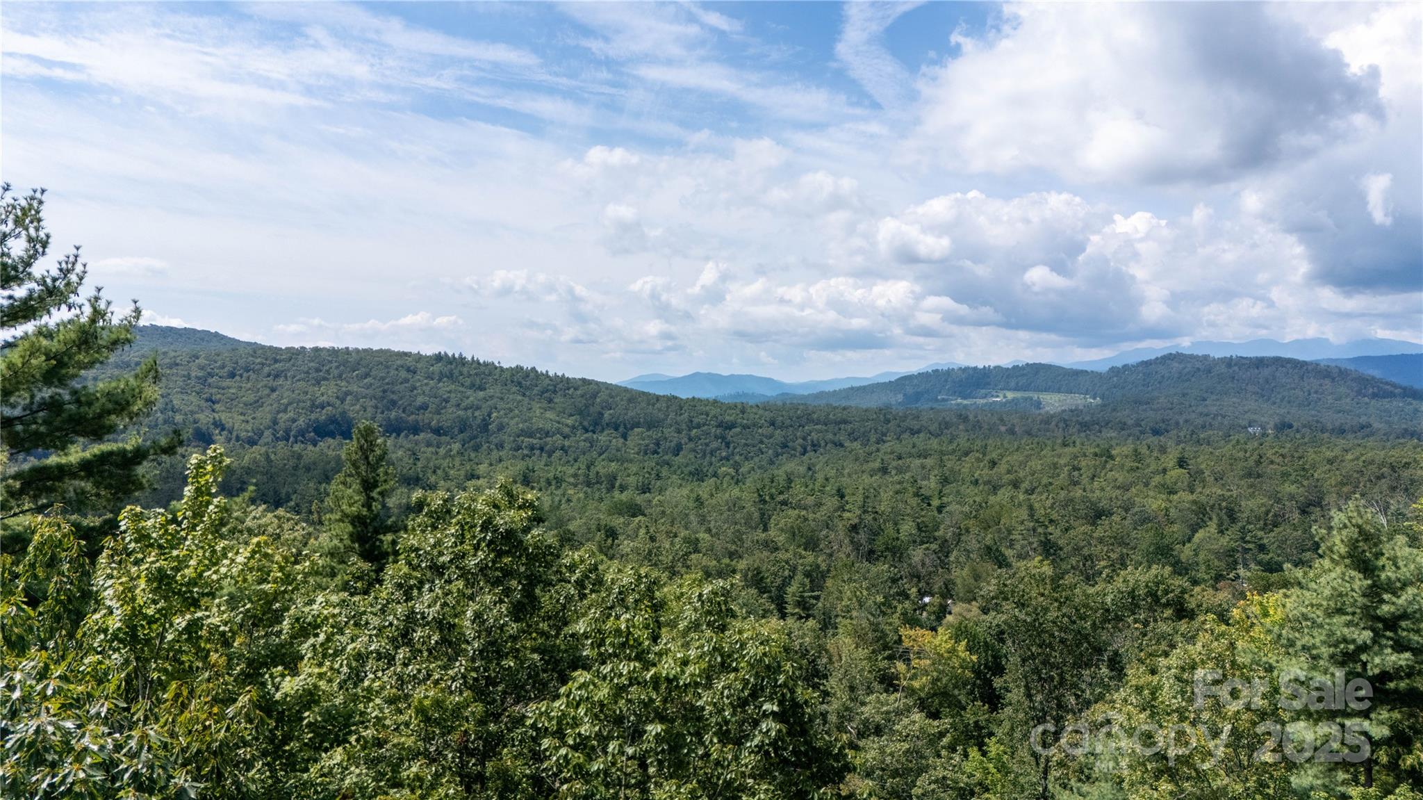 0000 Humpback Mountain Road Spruce Pine NC 28777