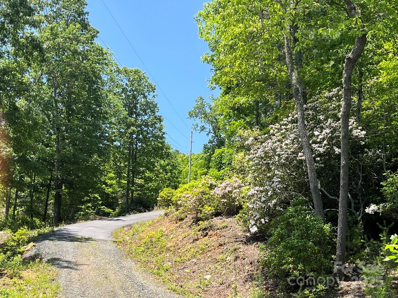 0000 Humpback Mountain Road Spruce Pine NC 28777
